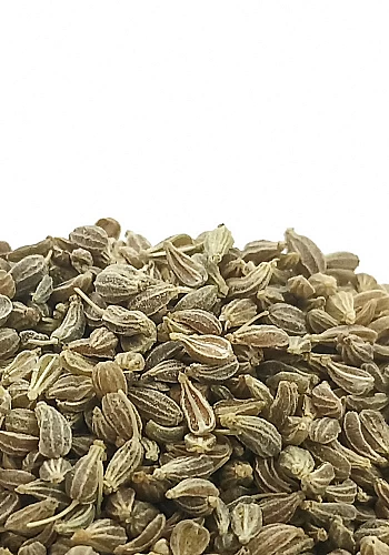 Tante Suzanne - Anis vert 250g - Anis vert - Pimpinella anisum