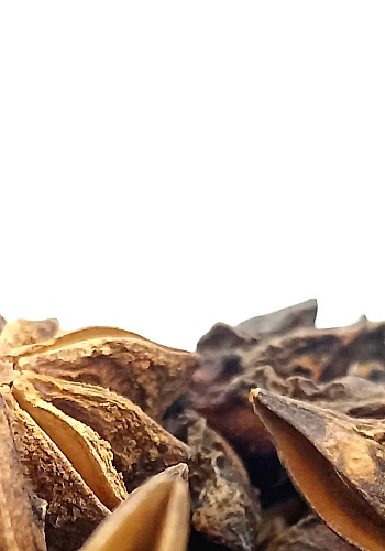 Tante Suzanne - Badiane 100g - Badiane - Illicium verum