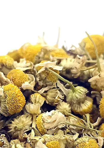 Camomille 500g - (Matricaria recutita) - 
Plante à la saveur douce, à déguster en période d'insomnie, de stress ou d'anxiété. El