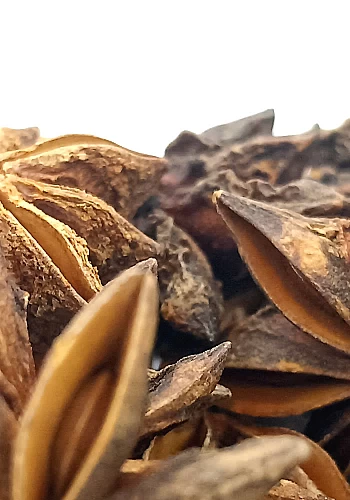 Tante Suzanne - Badiane 500g - Badiane - Illicium verum