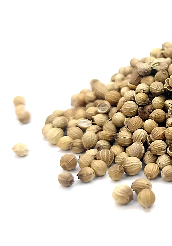 Tante Suzanne - Coriandre 45g - Coriandre - Coriandrum sativum