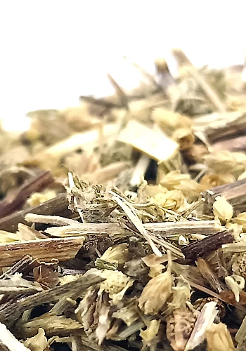 Achillé millefeuille 500g - (Achillea millefolium) - 
Plante à la saveur légèrement âpre et amère, elle est souvent utilisée en 