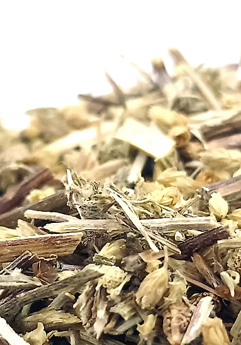 Tante Suzanne - Achillé millefeuille 500g - Achillé - Achillea millefolium