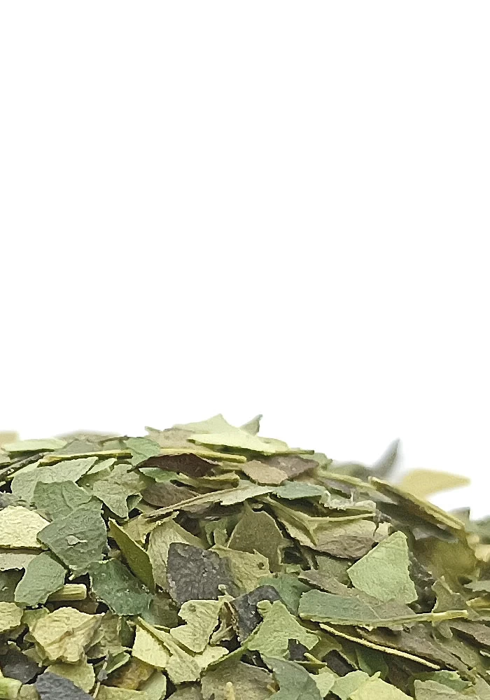 Guayusa 100g - (Ilex guayusa) - 
Plante rituelle d'Amazonie, elle est la plante magique par excellence. Antioxydante et antidépr