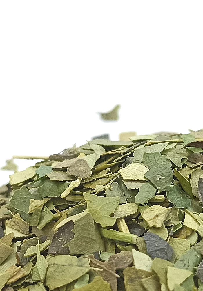 Tante Suzanne - Guayusa 250g - Guayusa - Ilex guayusa