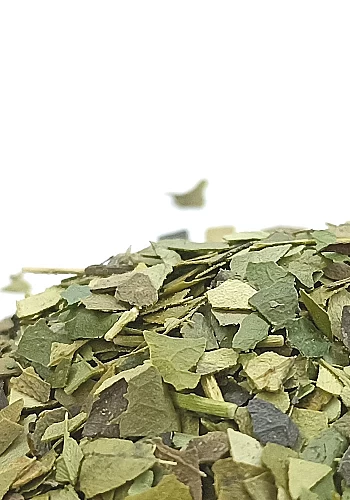 Tante Suzanne - Guayusa 250g - Guayusa - Ilex guayusa