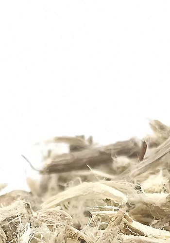 Guimauve 100g - (Althaea officinalis) - 
Racine à la saveur peu sucrée, elle apaise les toux sèches et les gorges irritées.
 

 
