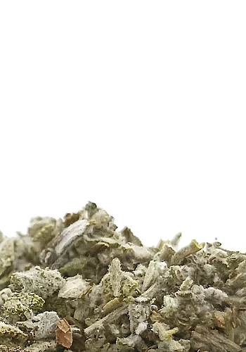 Tante Suzanne - Sauge 100g - Sauge - Salvia Officinalis