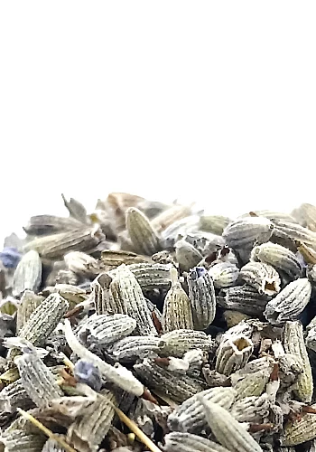 Tante Suzanne - Lavandin 250g - Lavandin - Lavandula hybrida
