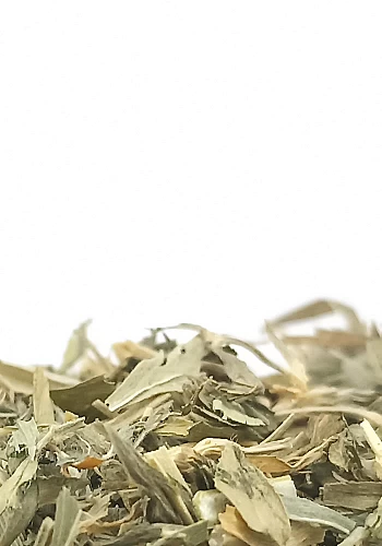 Tante Suzanne - Luzerne 100g - Luzerne - Medicago sativa