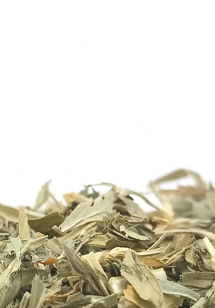 Tante Suzanne - Luzerne 100g - Luzerne - Medicago sativa