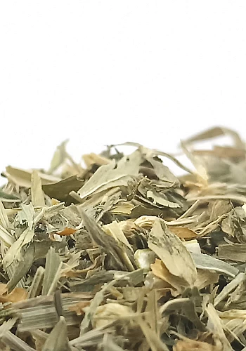 Tante Suzanne - Luzerne 250g - Luzerne - Medicago sativa