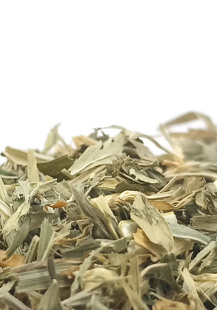 Tante Suzanne - Luzerne 250g - Luzerne - Medicago sativa