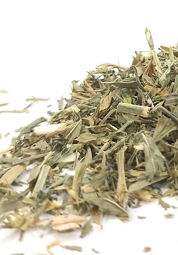 Tante Suzanne - Luzerne 45g - Luzerne - Medicago sativa
