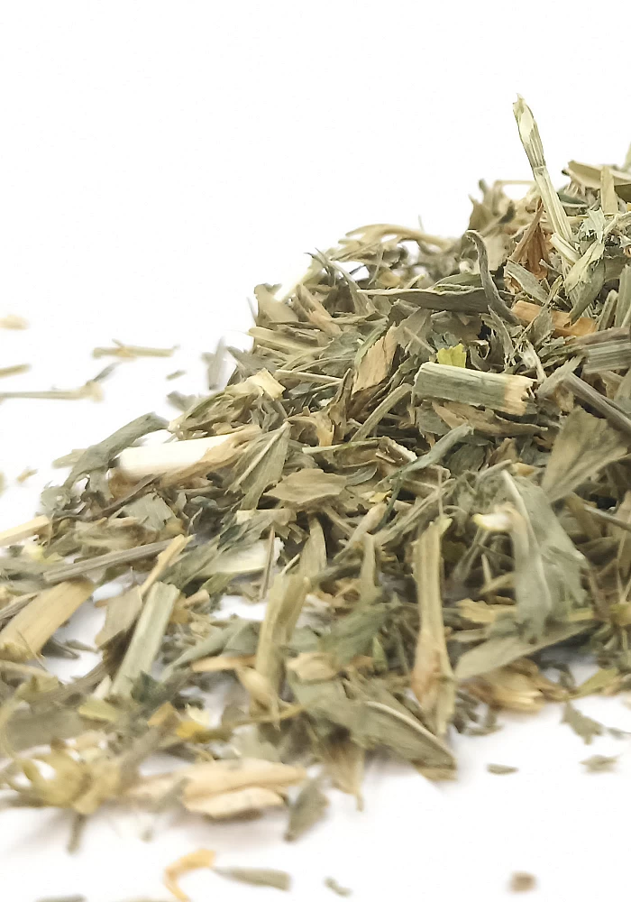 Tante Suzanne - Luzerne 45g - Luzerne - Medicago sativa