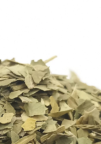Tante Suzanne - Marjolaine 250g - Marjolaine - Origanum majorana