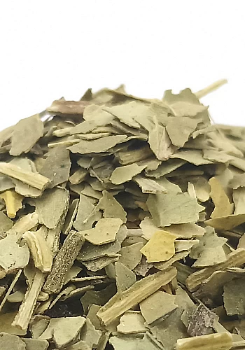 Tante Suzanne - Marjolaine 500g - Marjolaine - Origanum majorana