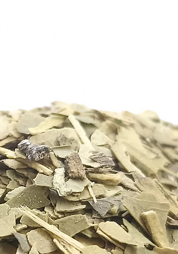 Tante Suzanne - Maté vert 250g - Maté vert - lex paraguariensi