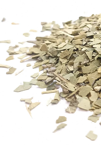 Tante Suzanne - Maté vert 45g - Maté vert - lex paraguariensi