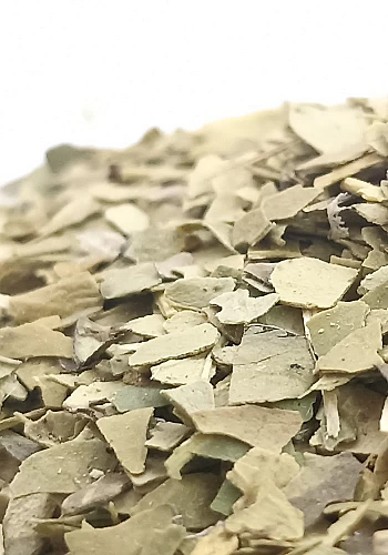 Tante Suzanne - Maté vert 500g - Maté vert - lex paraguariensi