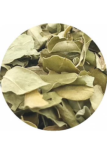 Moringa - (Moringa oleifera) - 
Plante détoxifiante originaire de Ceylan, elle est un puissant anti-inflammatoire et un puissant