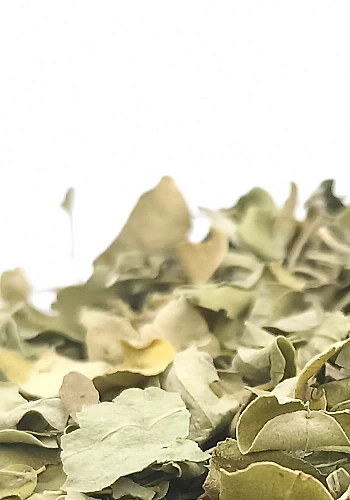 Tante Suzanne - Moringa 250g - Moringa - Moringa oleifera