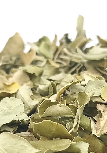 Tante Suzanne - Moringa 500g - Moringa - Moringa oleifera