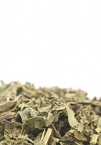Tante Suzanne - Origan 100g - Origan - Origanum vulgare