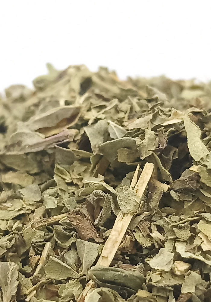 Tante Suzanne - Origan 500g - Origan - Origanum vulgare