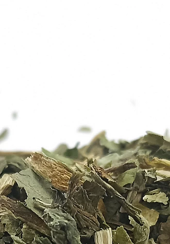 Tante Suzanne - Pissenlit 100g - Pissenlit - Taraxacum officinale