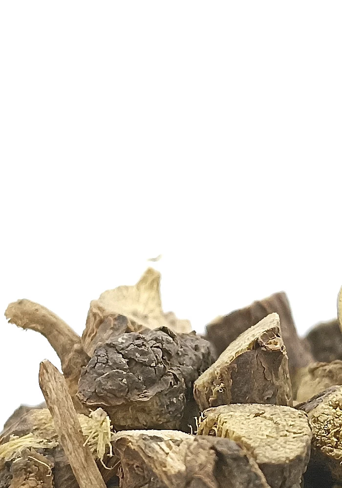 Tante Suzanne - Réglisse 100g - Réglisse - Glycyrrhiza glabra