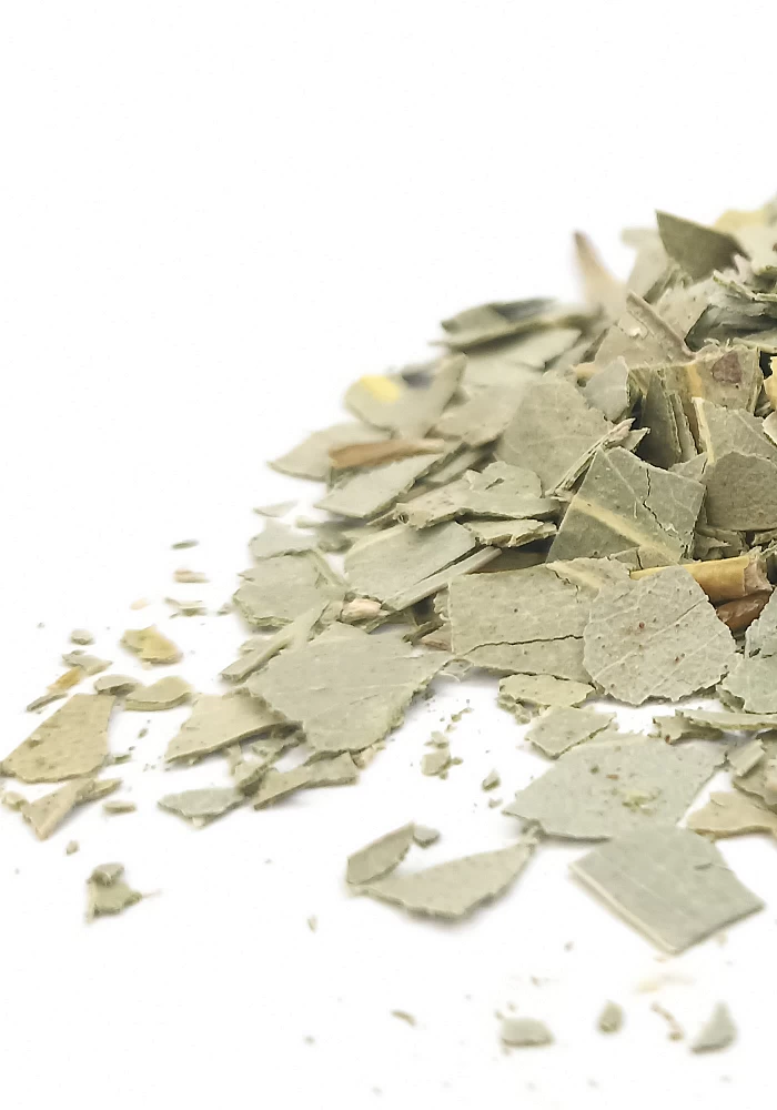 Tante Suzanne - Eucalyptus 45g - Eucalyptus - Eucalyptus globulus