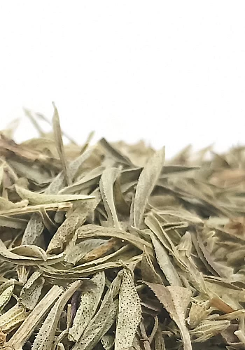 Tante Suzanne - Sarriette 250g - Sariette - Satureja hortensis