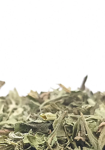 Tante Suzanne - Stévia 100g - Stevia - Stevia rebaudiana