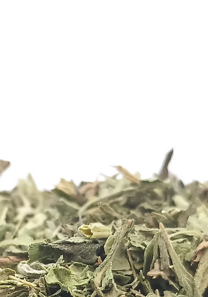 Tante Suzanne - Stévia 100g - Stevia - Stevia rebaudiana