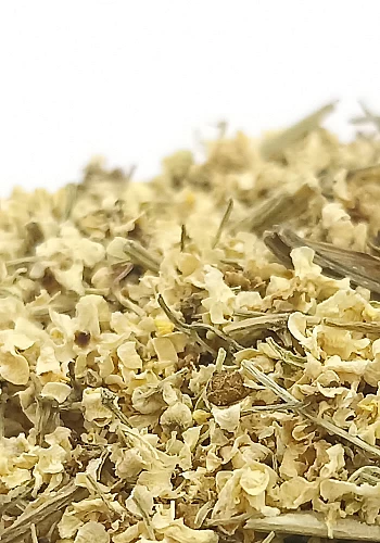 Tante Suzanne - Sureau 500g - Sureau - Sambuccus nigra