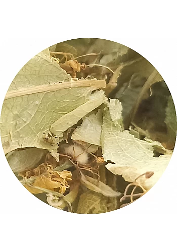 Tante Suzanne - Tilleul - Plantes