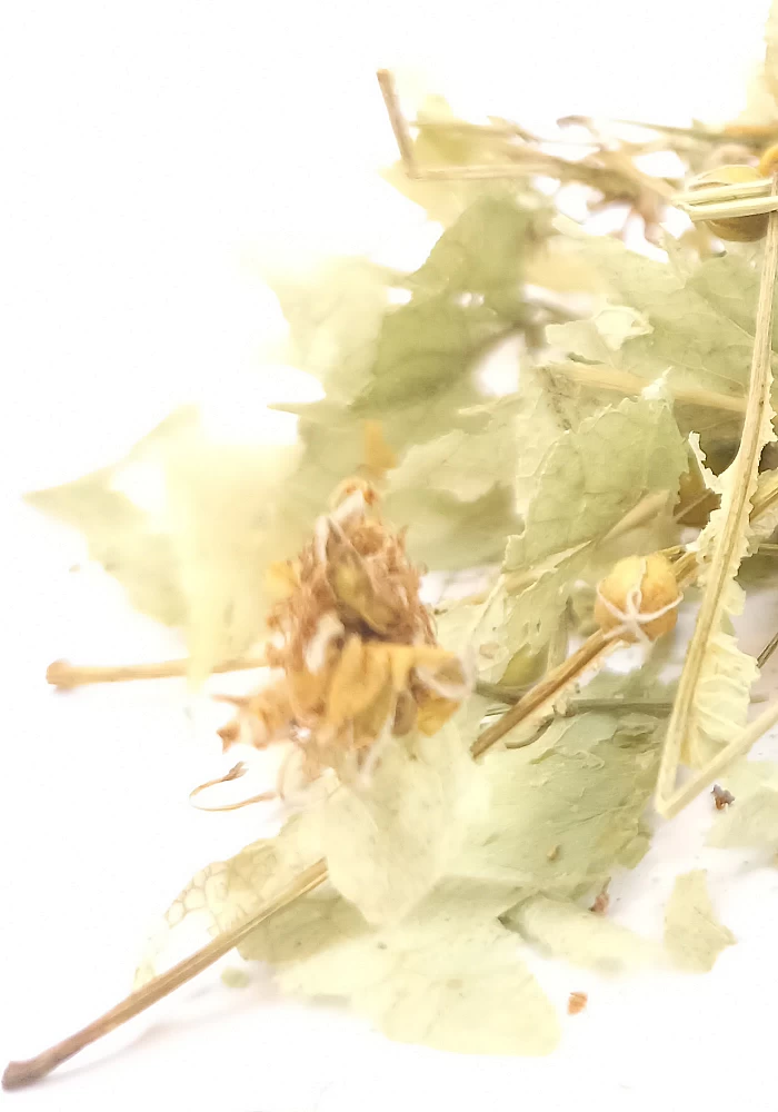 Tilleul 45g - (Tilia sylvestris) - 
Plante à la saveur légèrement astringente, elle est appréciée le soir pour ses vertus sédati