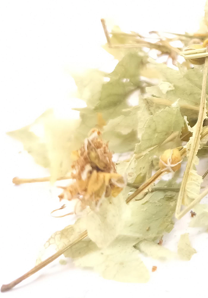 Tante Suzanne - Tilleul 45g - Tilleul - Tilia sylvestris