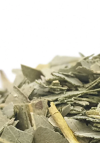 Tante Suzanne - Eucalyptus 250g - Eucalyptus - Eucalyptus globulus