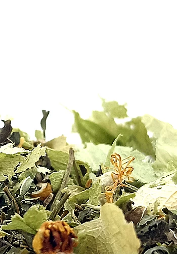Tante Suzanne - Tilleul & Menthe 250g - Tilleul  menthe - infusion détente