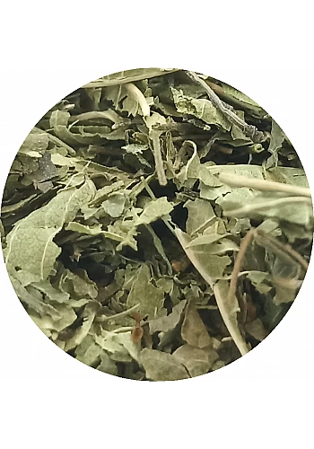 Tante Suzanne - Verveine - Plantes