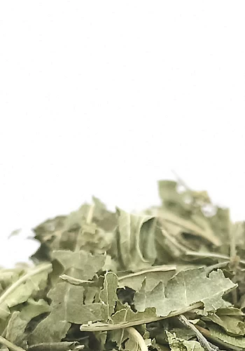 Verveine 100g - (Lippia citriodora) - 
Plante à la saveur citronnée douce amère, elle est appréciée le soir pour ses vertus calm