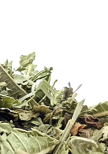 Tante Suzanne - Verveine & Menthe 250g - Verveine menthe - infusion détente