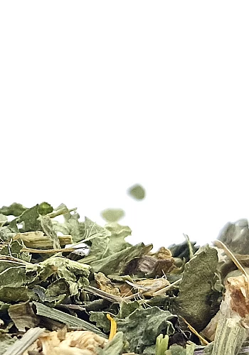 Tante Suzanne - La Léontine 100g - La Léontine - infusion détox
