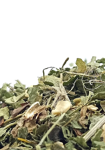 Tante Suzanne - La Léontine 250g - La Léontine - infusion détox