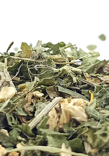 Tante Suzanne - La Léontine 500g - La Léontine - infusion détox