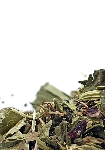 Tante Suzanne - La Fernande 100g - La Fernande - infusion énergisante