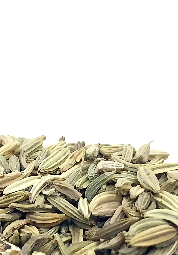 Tante Suzanne - Fenouil 100g - Fenouil - Foeniculum vulgare