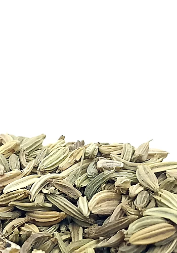 Fenouil 100g - (Foeniculum vulgare) - 
Graine aromatique à la saveur légèrement âcre et sucrée proche de l'anis, elle est recomm